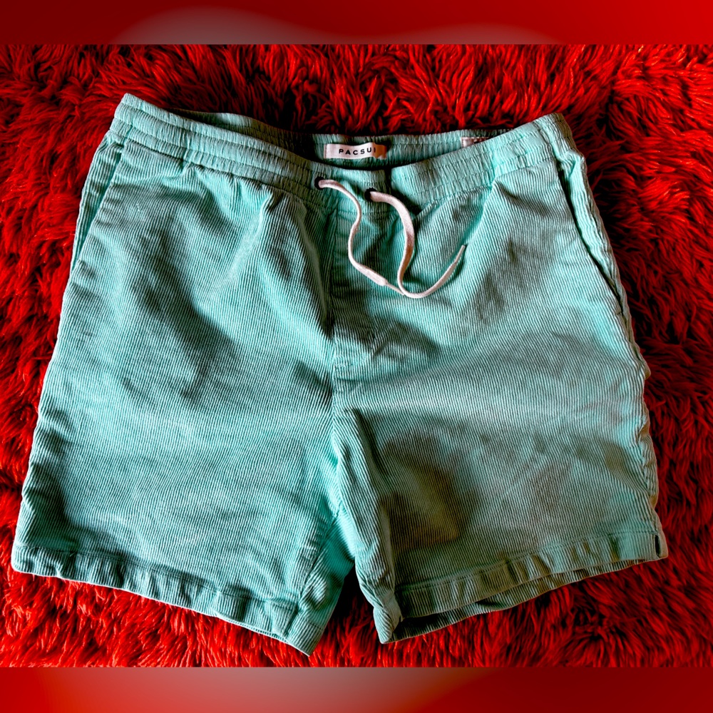 Men’s mint green PacSun courderoy Volley short size large
